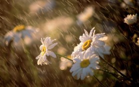 METEO: Se așteaptă schimbări radicale a vremei. Iată când se așteaptă ploi